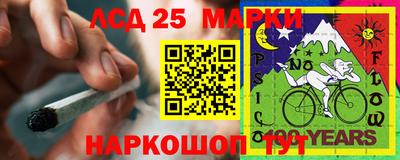гидропоника Заводоуковск