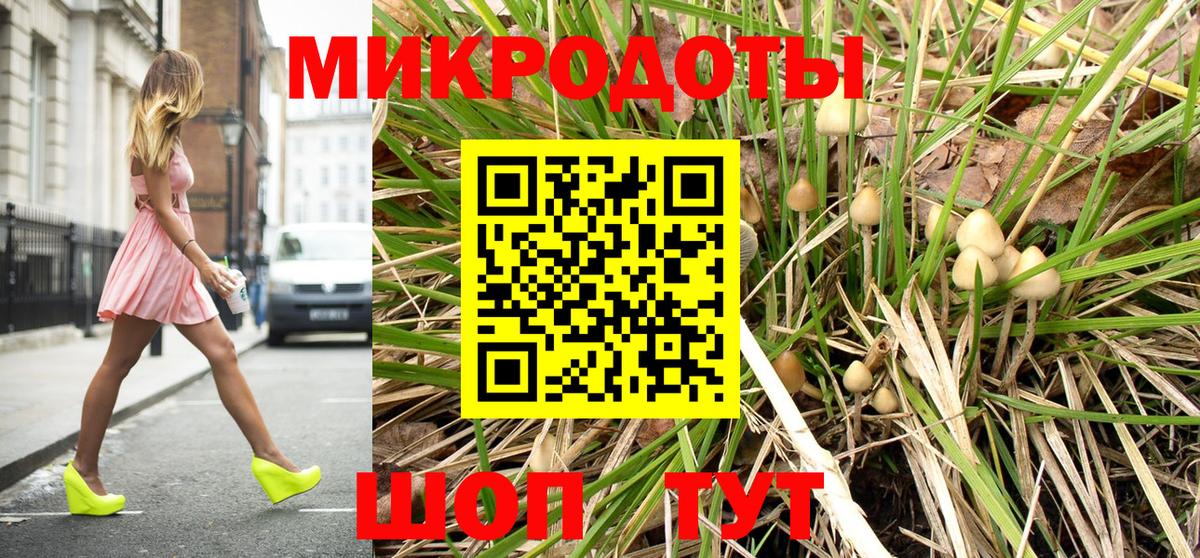Псилоцибиновые грибы прущие грибы Сегежа