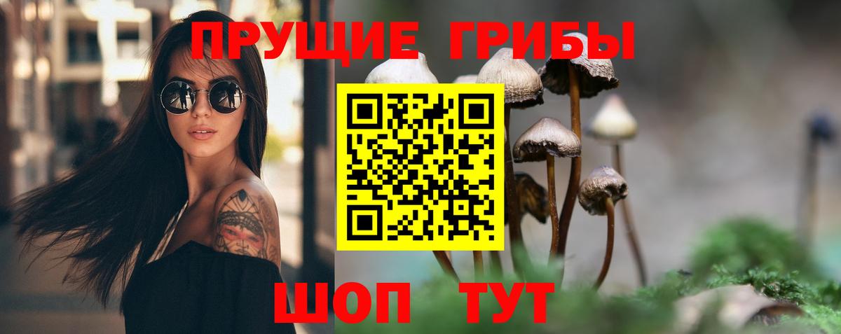 Сегежа  Псилоцибиновые грибы Psilocybine cubensis  Вход с VPN  Псилоцибиновые грибы ЛСД 